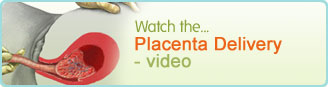 Placenta Delivery animation